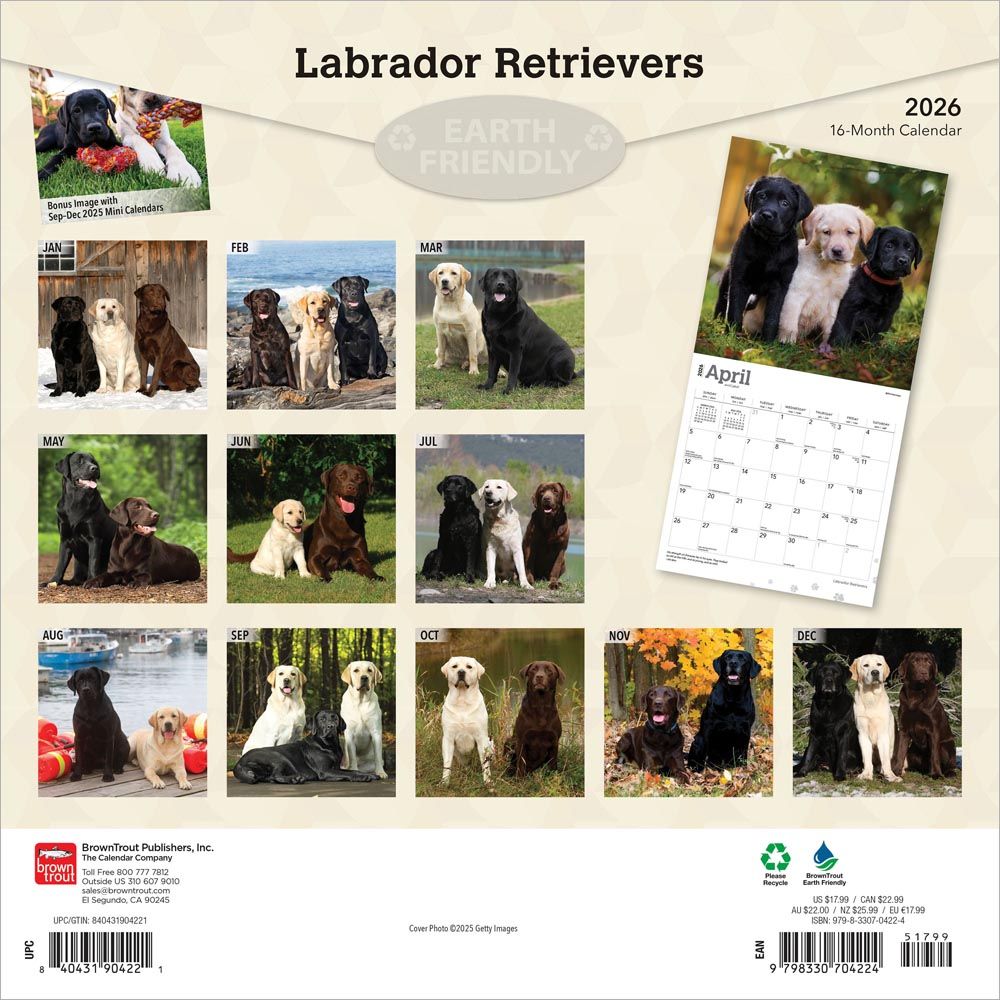 BrownTrout Labrador Retrievers 2026 Calendar