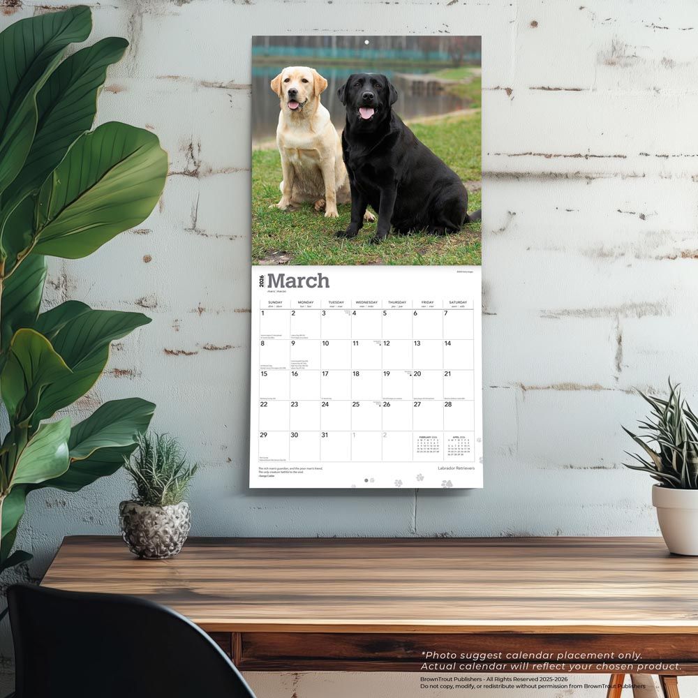 BrownTrout Labrador Retrievers 2026 Calendar