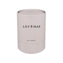 Tempest Tide (Vanilla Cashmere Scented) 380g Soy Candle - Lily & Mae