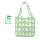 Miffy Portable 2 in 1 Tote Bag Set Blind Box
