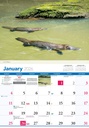 2026 Calendars Wildlife Of Australia - Bartel 
