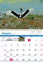 2026 Calendars Birds Of Australia - Bartel