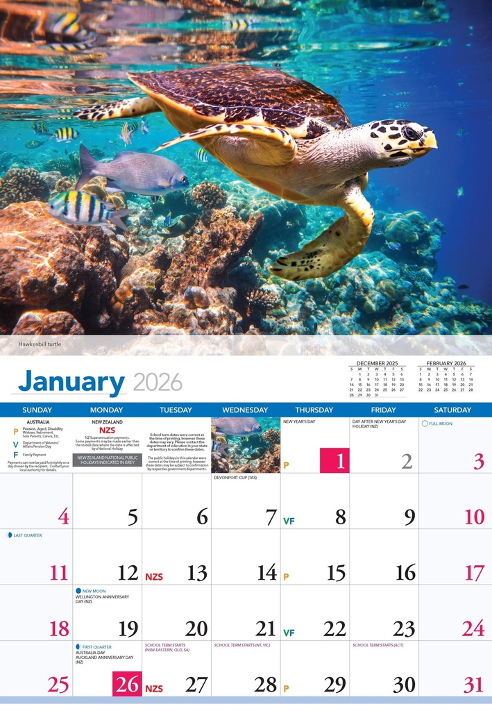 2026 Calendars Ocean Wild - Bartel