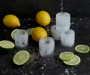 Ice Cube Shot Glass Mold - Gnetlemen's Hardware