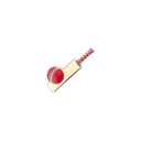 Champions of Life Wicket Keeper Keepsake Pin