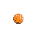 Champions of Life Slam Dunk Keepsake Pin