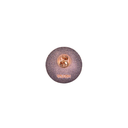 Champions of Life Slam Dunk Keepsake Pin