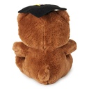 Hallmark Graduation Bear