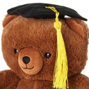 Hallmark Graduation Bear