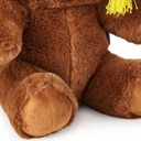 Hallmark Graduation Bear