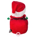 Hallmark Santa in Sleigh Zip-Along Plush Toy
