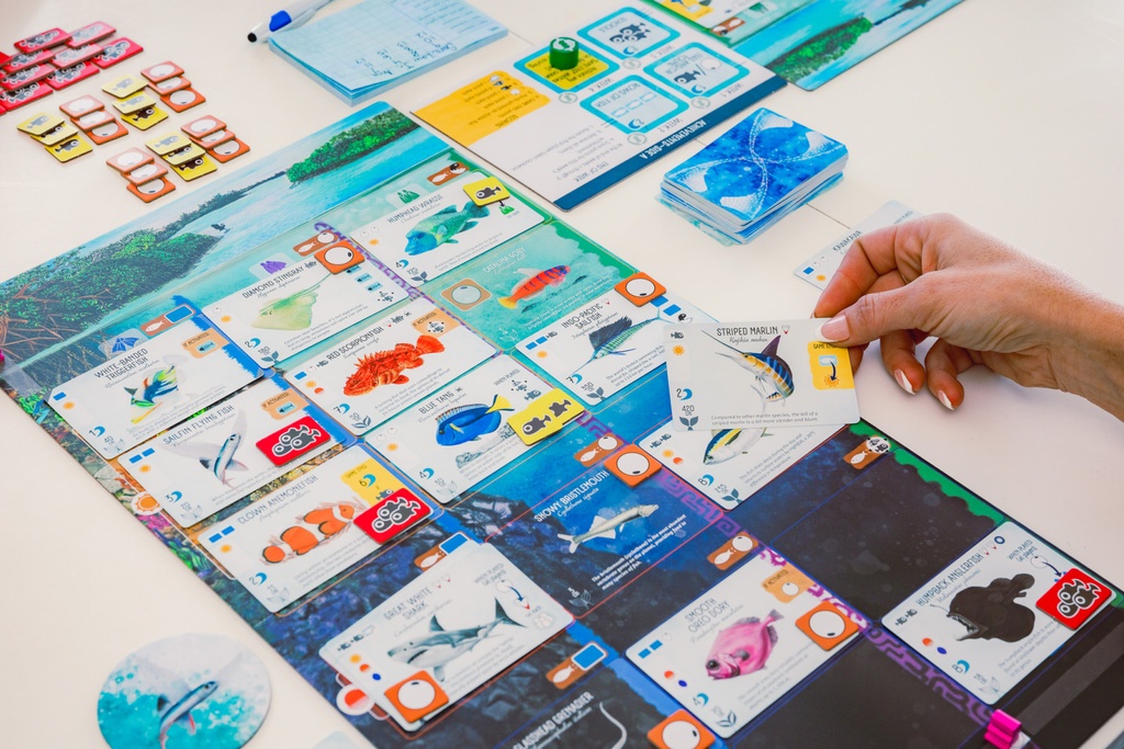 Finspan Game
