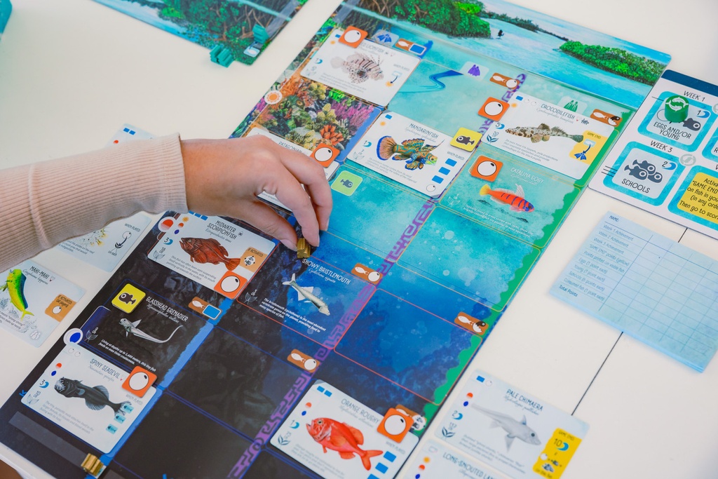 Finspan Game