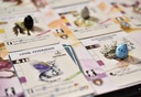 Wyrmspan Game
