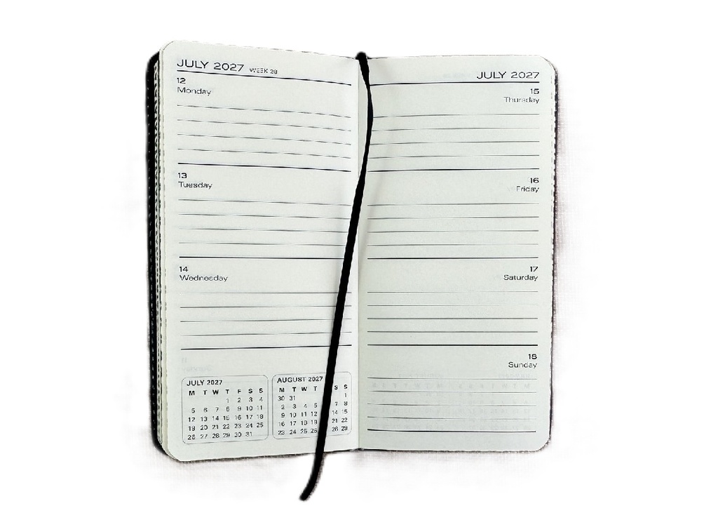 2027 Diary Week-To-View (WTV) Slim with Pen - Black