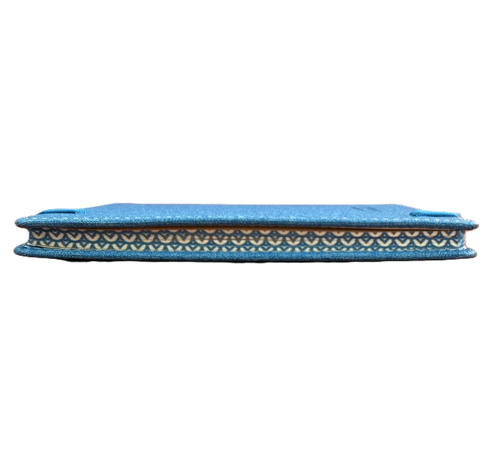 2027 Diary Week-To-View (WTV) Slim with Pen - Cobalt