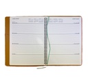2027 Diary A4 Week-To-View (WTV) Olive