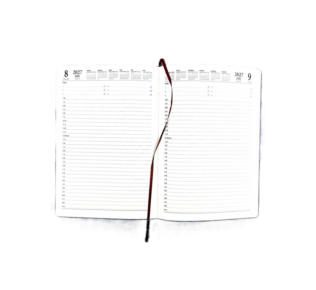 2027 Diary A5 Day-To-A-Page (DTP) Croc Tan