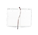 2027 Diary A5 Day-To-A-Page (DTP) Croc Tan