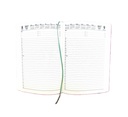 2027 Diary A5 Day-To-A-Page (DTP) Olive