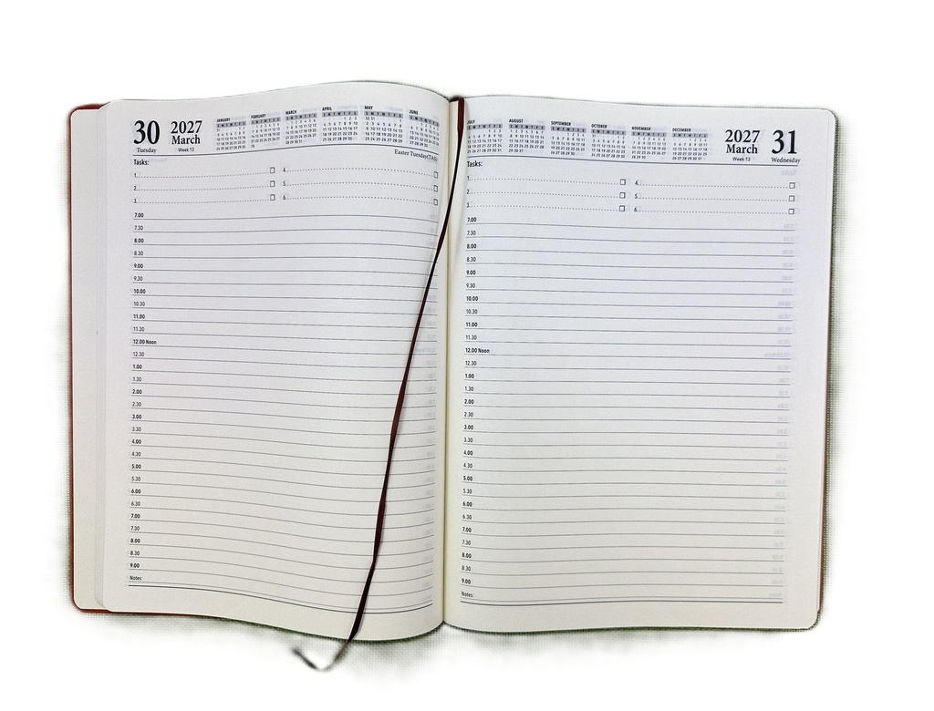 2027 Diary A4 Day-To-A-Page (DTP) Tan 