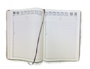 2027 Diary A4 Day-To-A-Page (DTP) Tan 