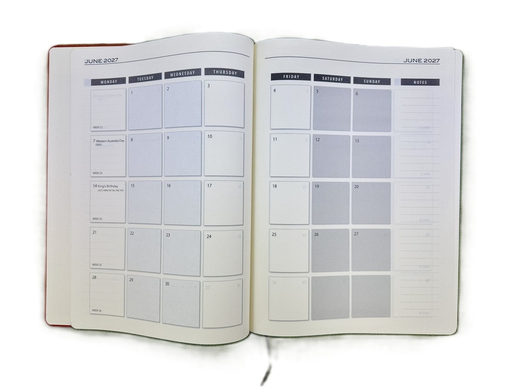 2027 Diary A4 Day-To-A-Page (DTP) Tan 