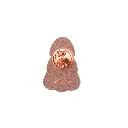 Lucky Little Ladies Keepsake Pin Daughter