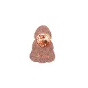Lucky Little Ladies Keepsake Pin Friend