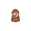 Lucky Little Ladies Keepsake Pin - Sisters