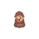 Lucky Little Ladies Keepsake Pin - Special