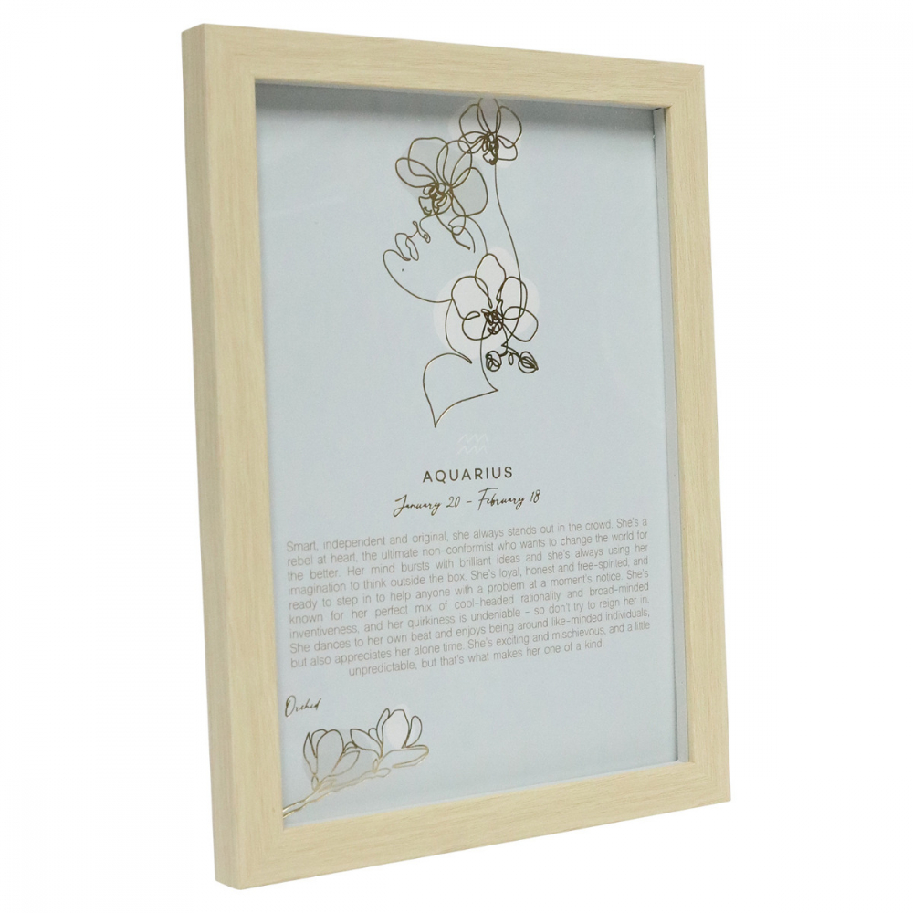 Mystique Framed Print Aquarius - Splosh