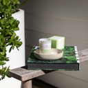 Jasmine & Lime Mini Candle  -Palm Beach Collection