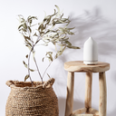 Aromatherapy Stone Diffuser - Palm Beach Collection