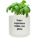 Grow Positive Pot - Splosh