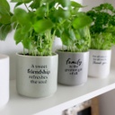 Family Positive Pot - Splosh