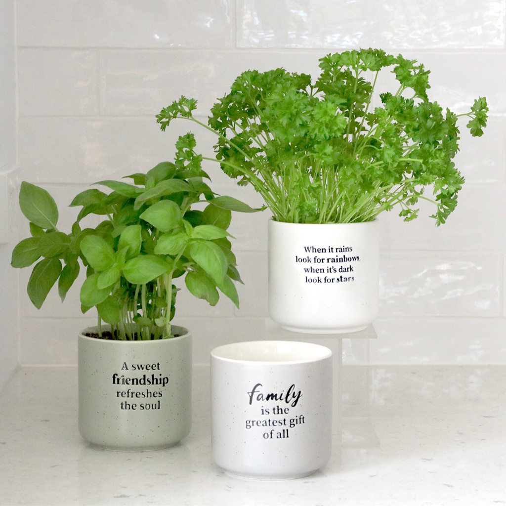 Family Positive Pot - Splosh