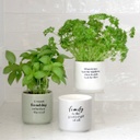 Family Positive Pot - Splosh