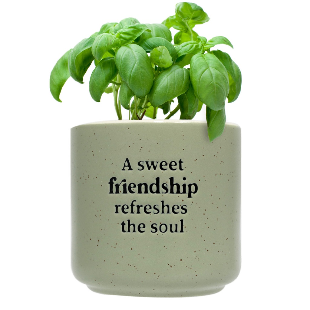 Friendship Positive Pot - Splosh