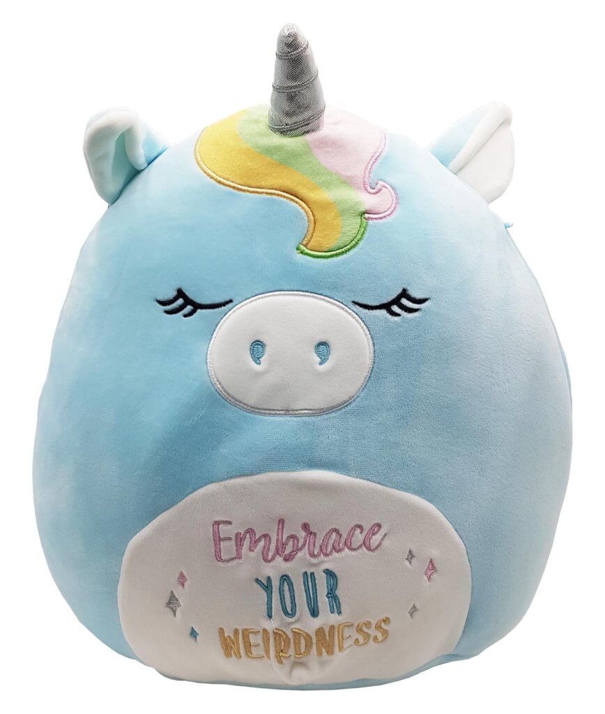 Squishmallows - Inspirational Message 12" Hudson