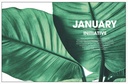 Affirmations 2023 Tropical Diary