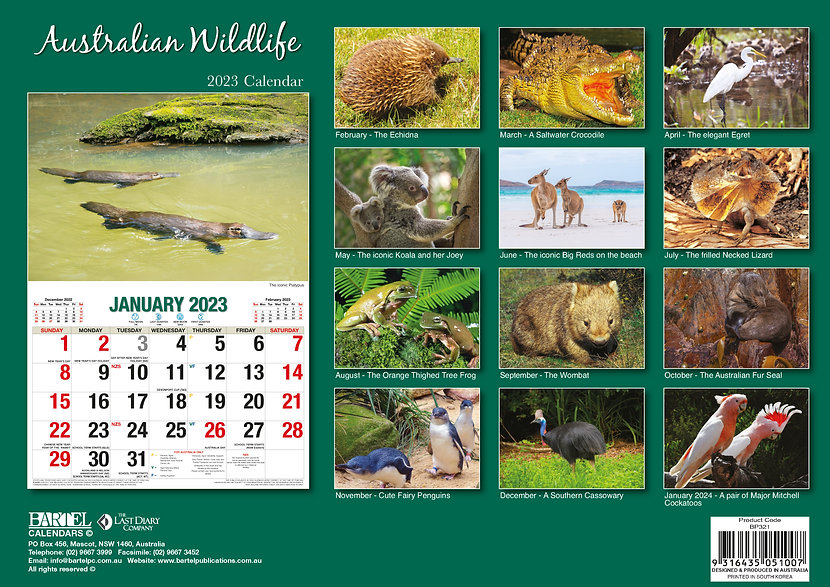 Australian Wildlife - Big Print 2023 Calendar