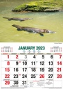 Australian Wildlife - Big Print 2023 Calendar