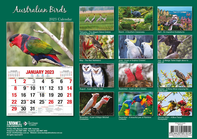 Australian Birds - Big Print 2023 Calendar