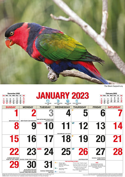 Australian Birds - Big Print 2023 Calendar