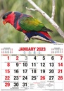 Australian Birds - Big Print 2023 Calendar