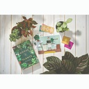 House of Plants Card Game - Ridleys Games Room