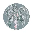 Love, Vera Palm Ceramic Coaster