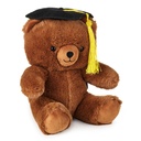 Hallmark Graduation Bear