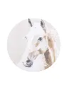 Saddle & Bloom Ceramic Coaster - Horse